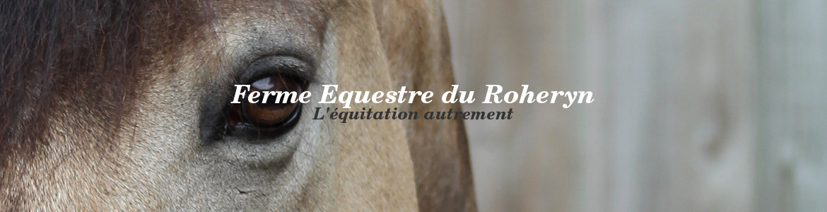 Ferme Equestre du Roheryn